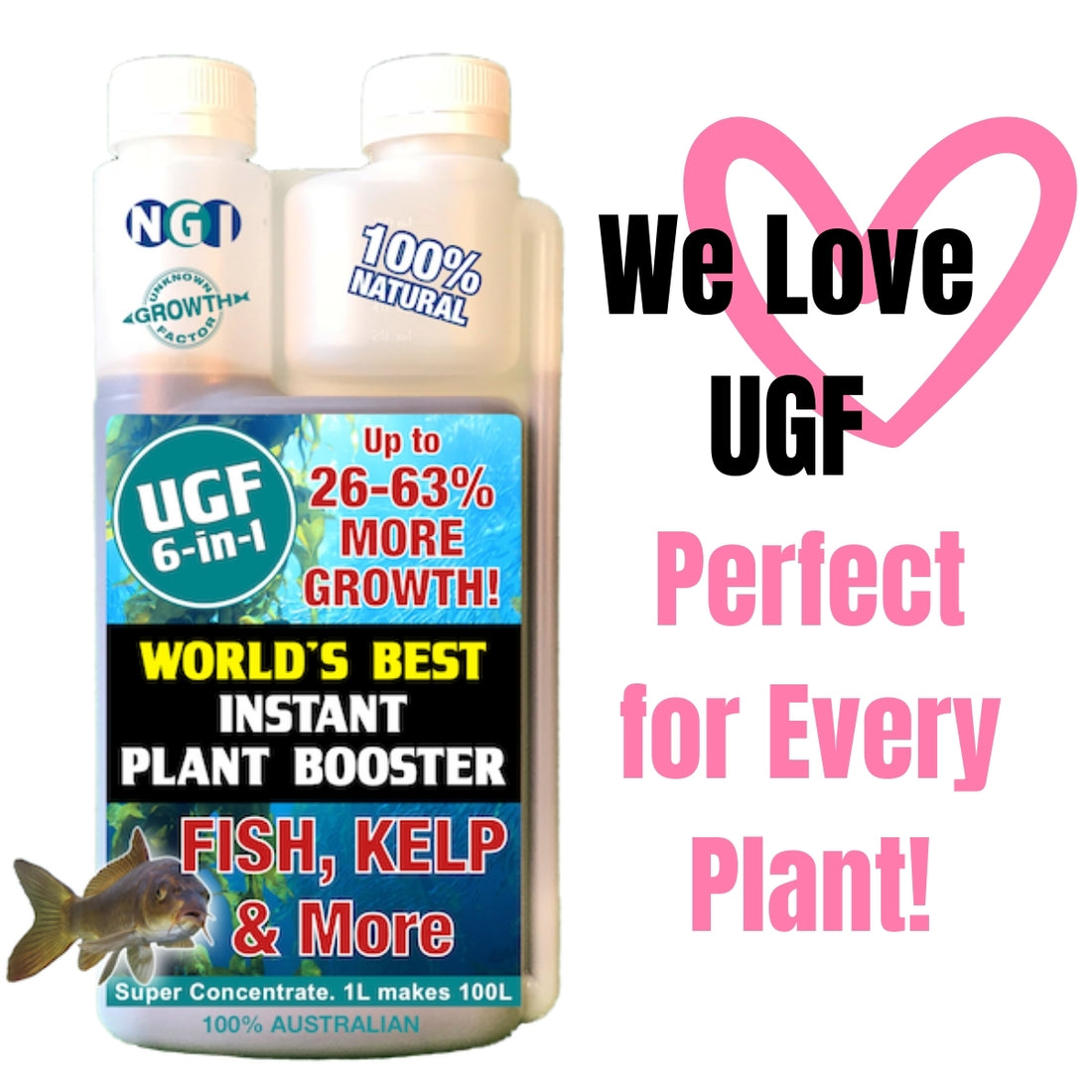 Organic Liquid Fertiliser - UGF 6-in-1 – Hillview Flowers