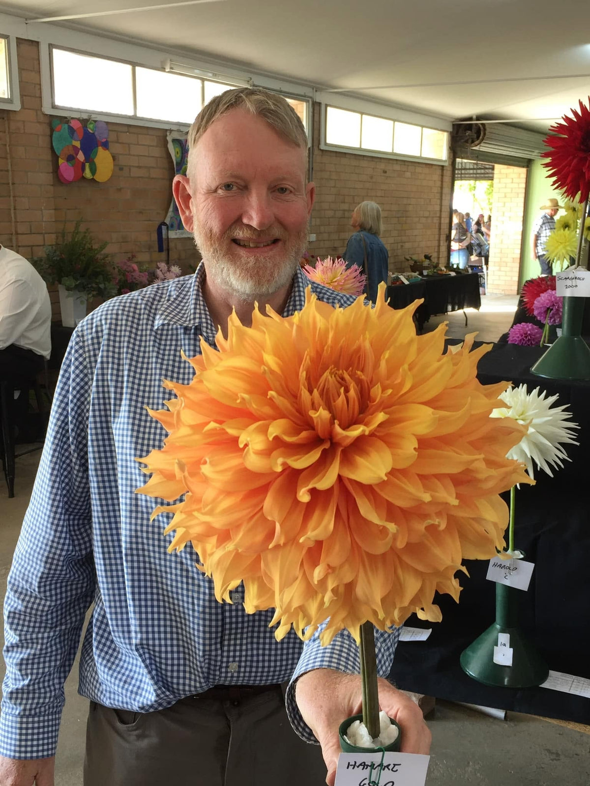 A Year in Quality Dahlias Workshop