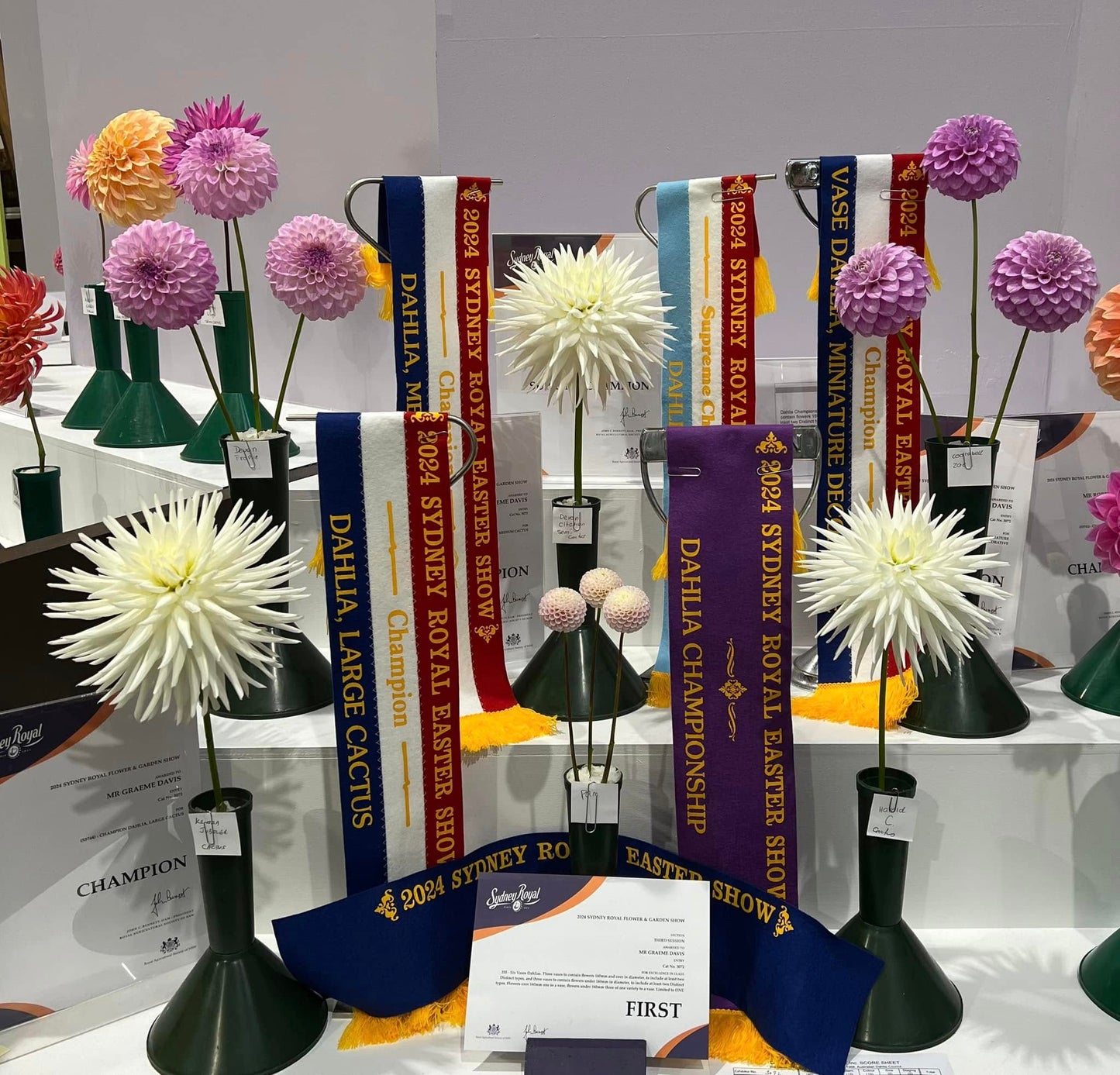 A Year in Quality Dahlias Workshop