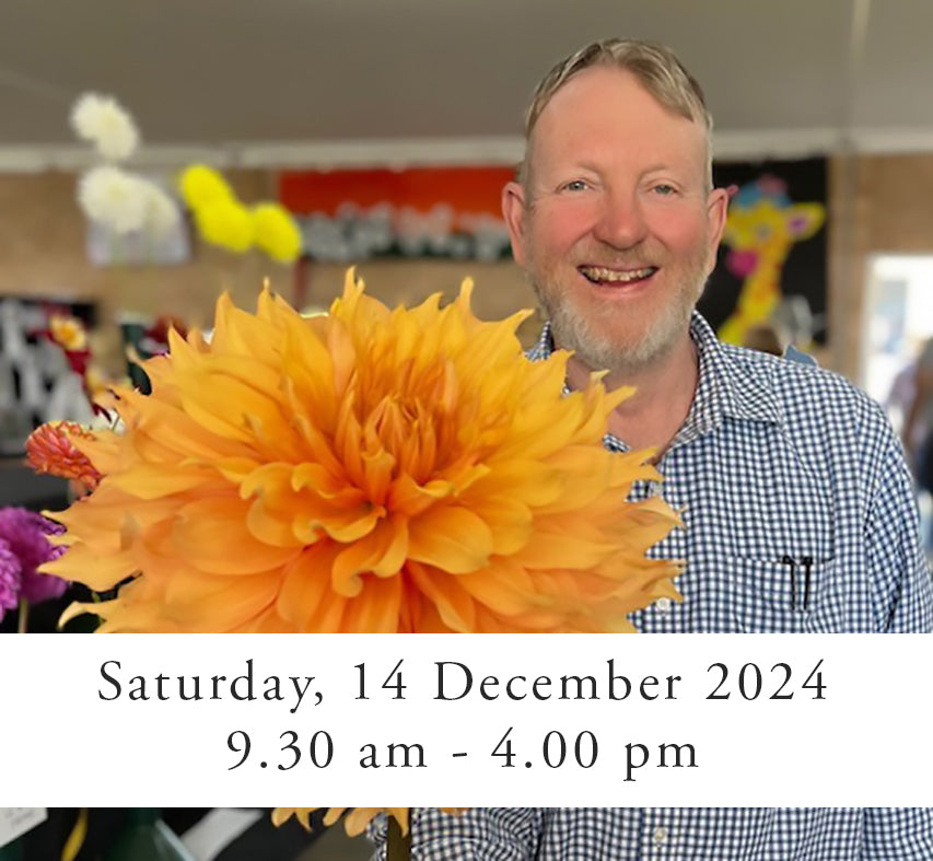 Saturday 14 December 2024